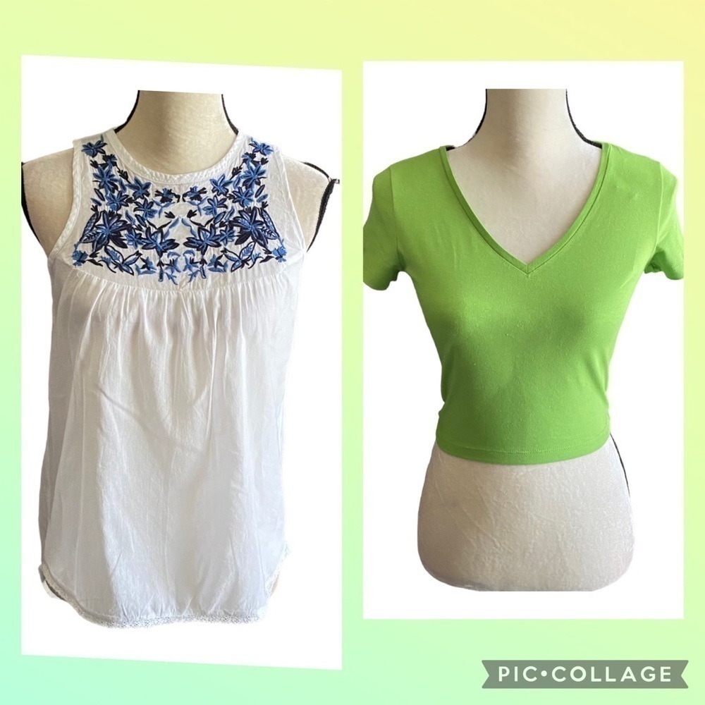 WOMENS BUNDLE TWO SMALL TOPS-EARTHBOUND TRADING CO & WILD FABLE